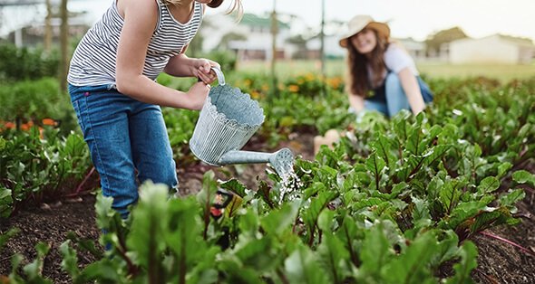 Volunteer Service and Social Care