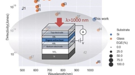 Organic Photodiode Integration on Si Substrates beyond 1000 nm Wavelength