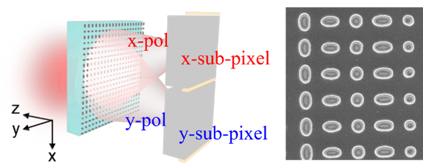 Polarization router in radiative near-field based on dielectric nano-elliptical cylinders