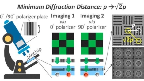 Nanowell-Based Orthogonal Submicropolarizer Array Biochip for Multiple Throughput of Fluorescence Sequencing